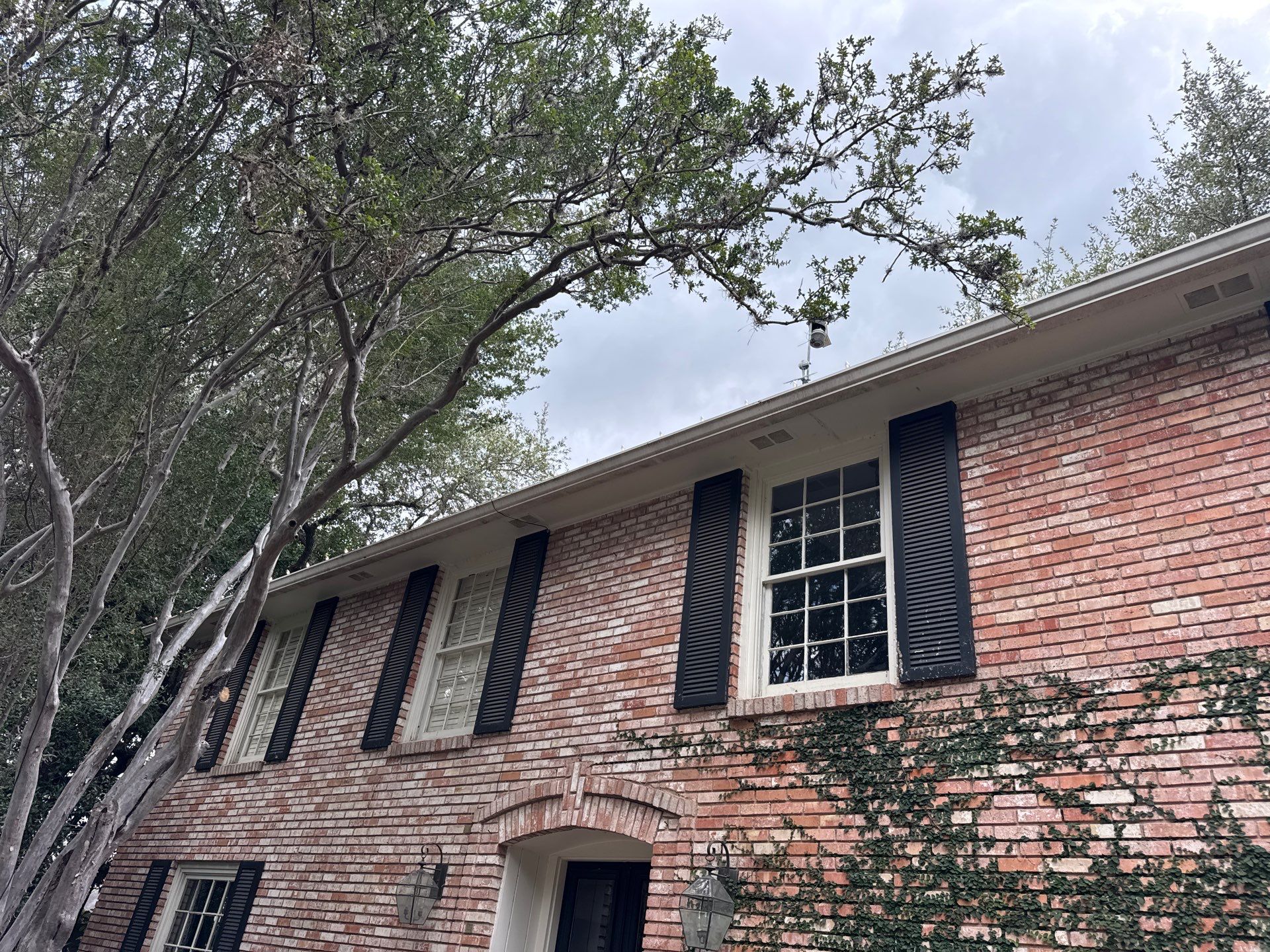 Metal Roof Washing, Window Cleaning & Leaf Removal – 2-Story Home