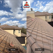 Roof-Soft-Wash-Driveway-Pressure-Washing-Project 0